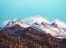 开云app-米兰随队记者：莱奥小腿不适持续，恐缺席对阵博洛尼亚一役